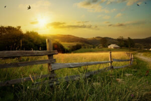 Sonne, Weite, Landschaft, Clearing Freiheit leben